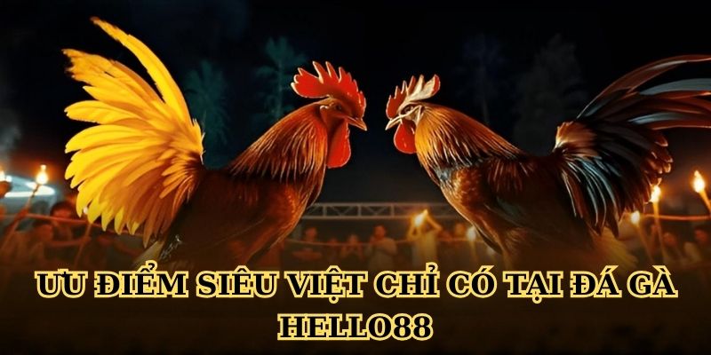 Ưu điểm siêu việt chỉ có tại đá gà Hello88